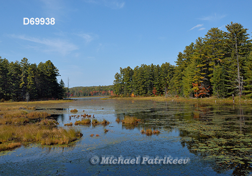 Algonquin Provincial Park, Ontario